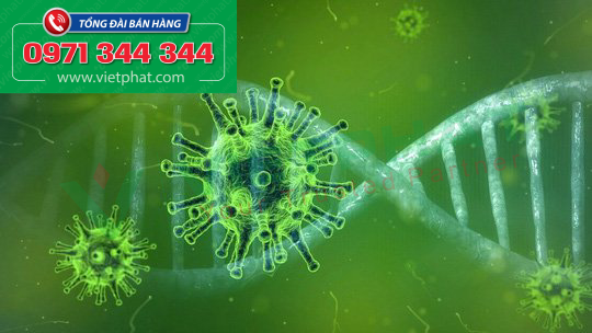 Đa số những người bệnh mắc virus (ví dụ như cúm, thủy đậu, sởi...) sẽ dễ lây bệnh sang cho người khác và các con virus này có thể bay trong không khí. 