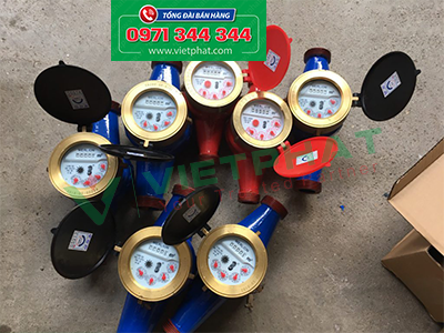 Đồng hồ nước Merlion DN80