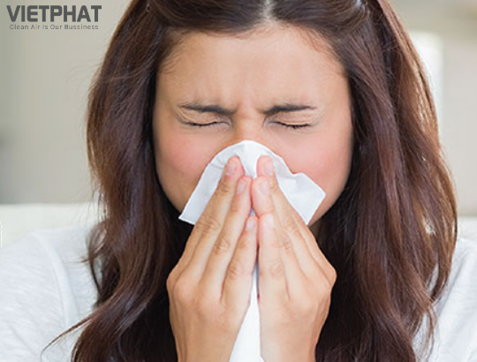 Sử dụng máy lọc không khí hạn chế bệnh viêm mũi dị ứng